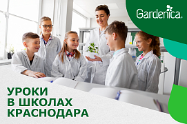 Уроки в школах Краснодара